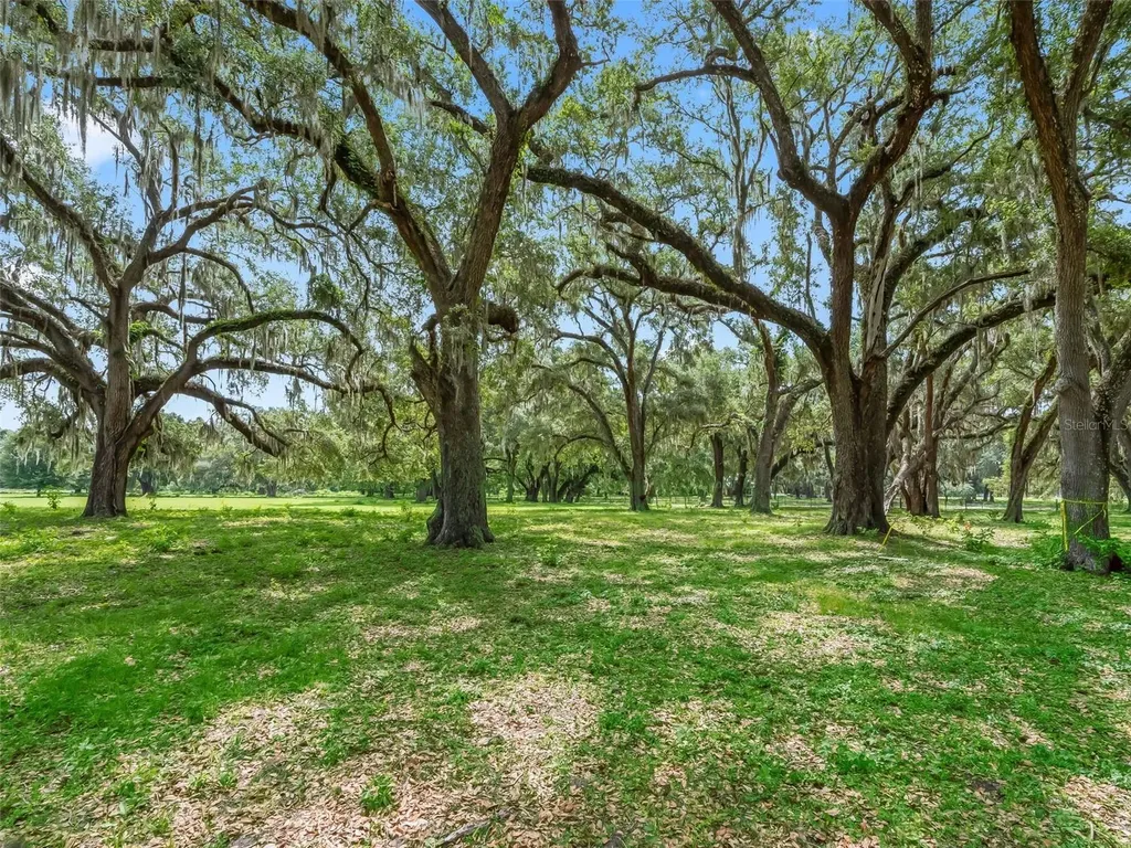 Lot 12 Cr 543 Bushnell FL 33513