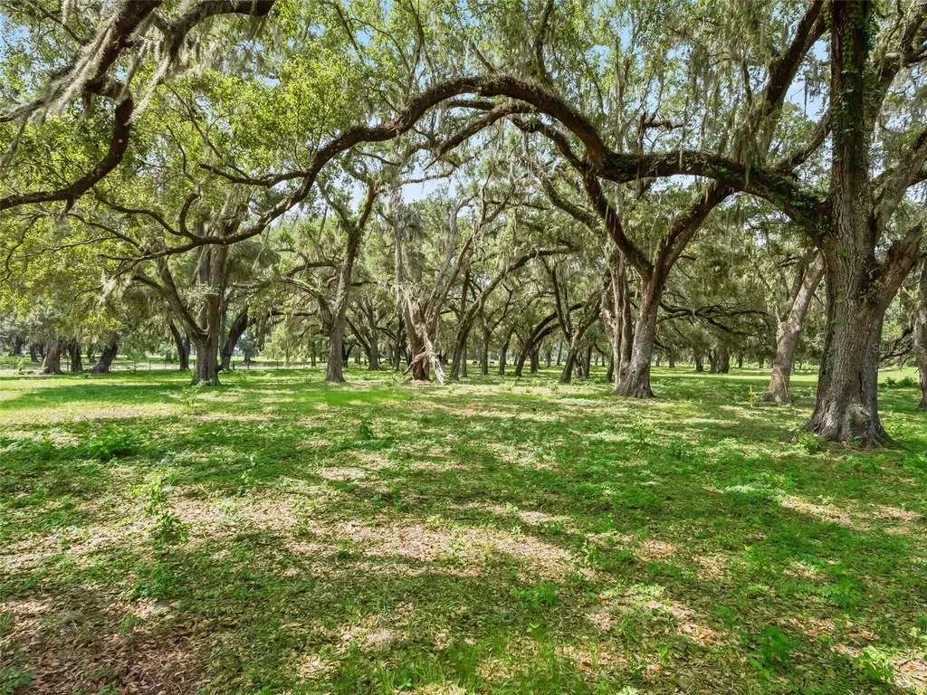 Lot 12 Cr 543 Bushnell FL 33513