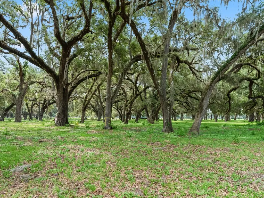 Lot 12 Cr 543 Bushnell FL 33513