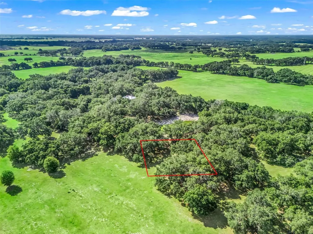 Lot 12 Cr 543 Bushnell FL 33513