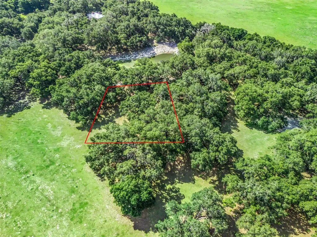 Lot 12 Cr 543 Bushnell FL 33513