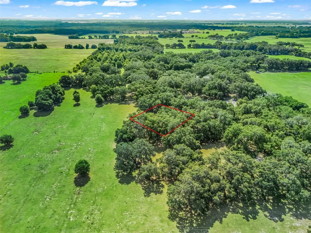 Lot 12 Cr 543 Bushnell FL 33513