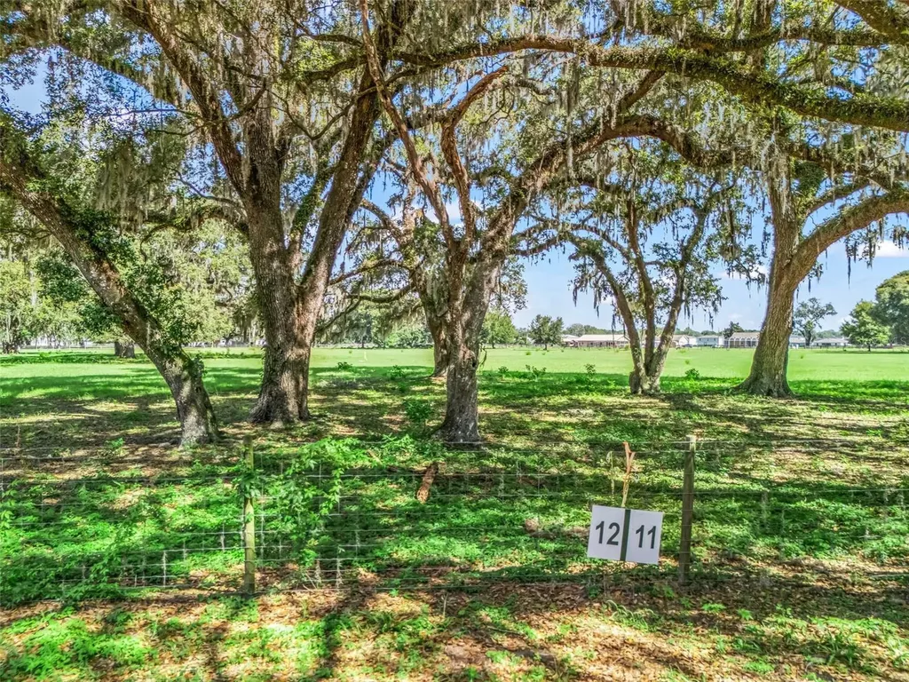 Lot 12 Cr 543 Bushnell FL 33513