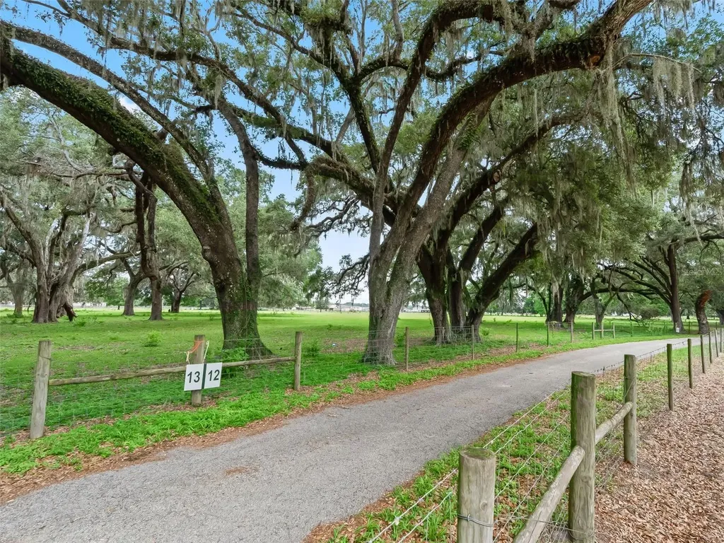 Lot 12 Cr 543 Bushnell FL 33513