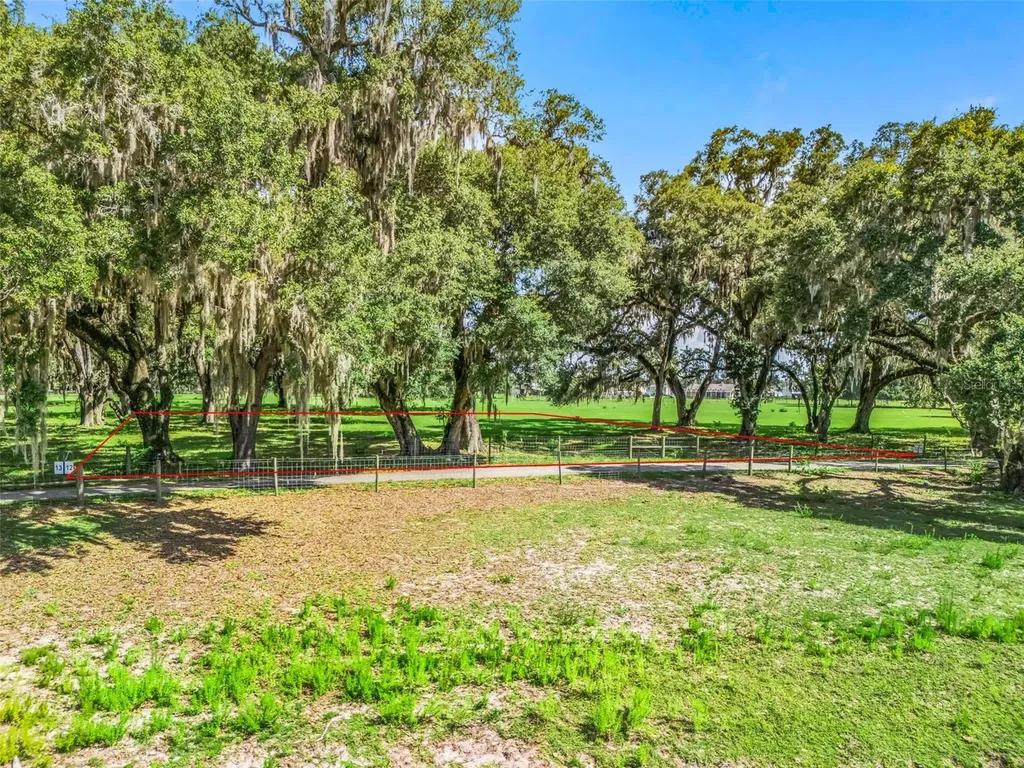 Lot 12 Cr 543 Bushnell FL 33513