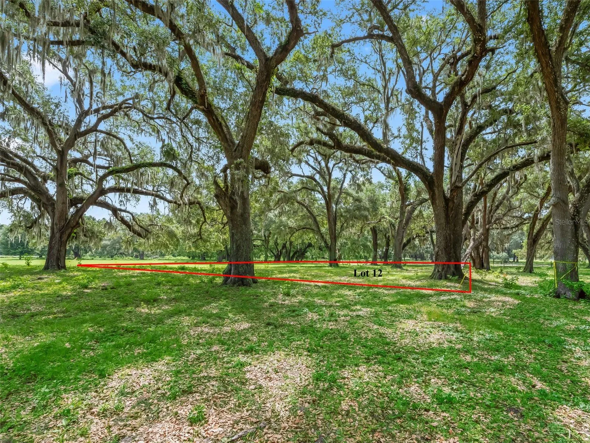 Lot 12 Cr 543 Bushnell FL 33513