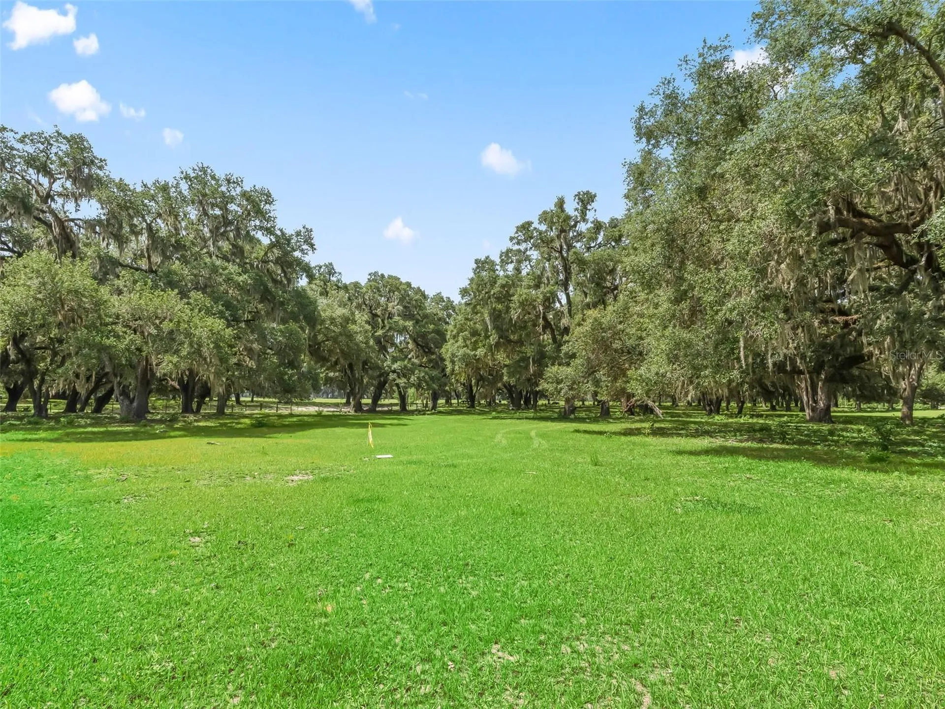 Lot 12 Cr 543 Bushnell FL 33513