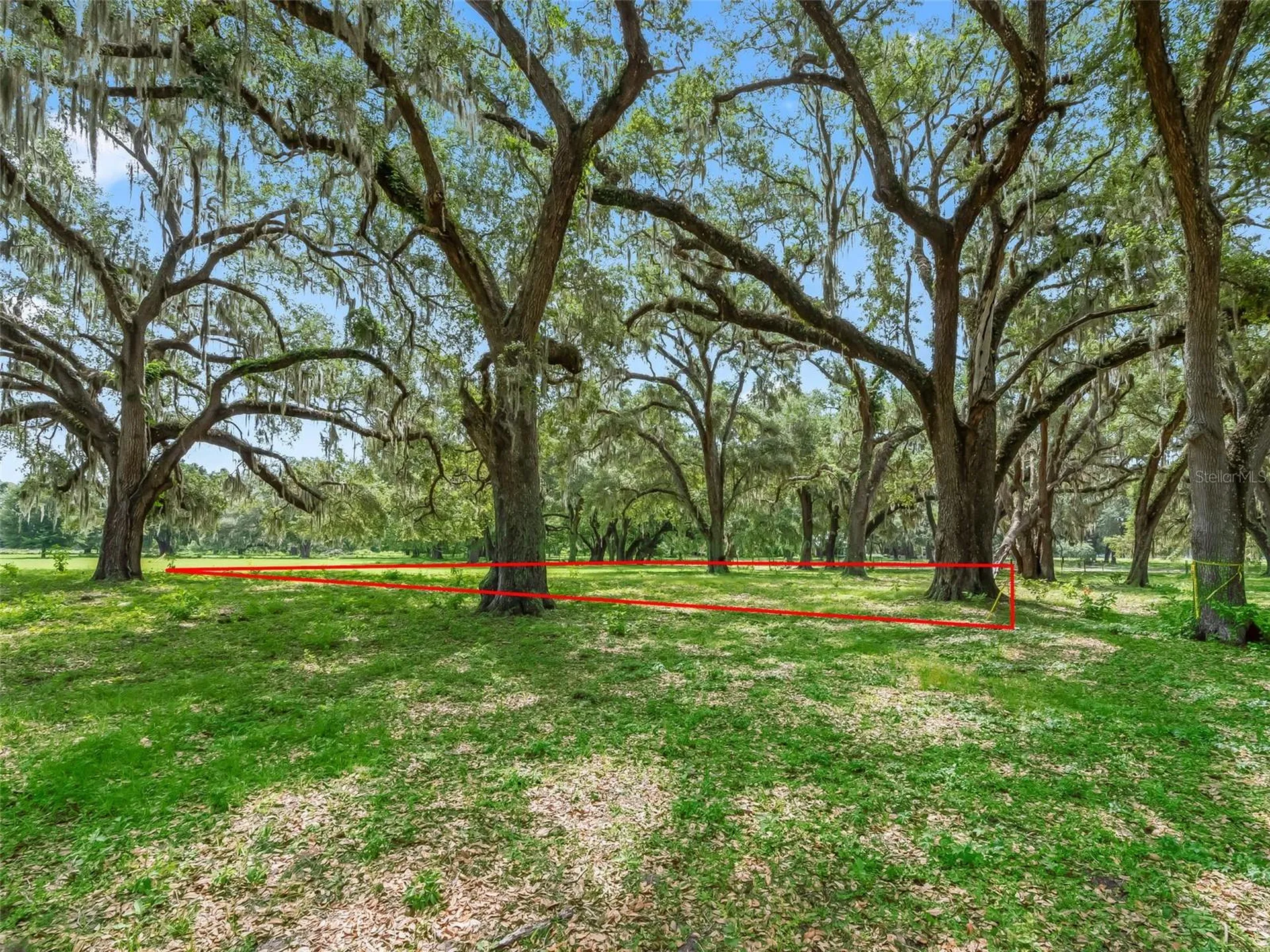 Lot 12 Cr 543 Bushnell FL 33513