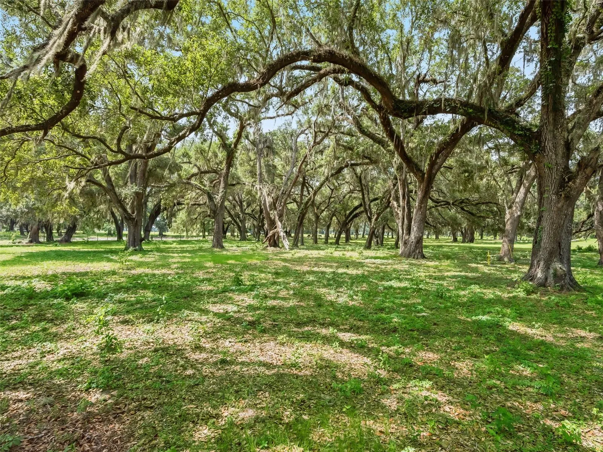 Lot 12 Cr 543 Bushnell FL 33513