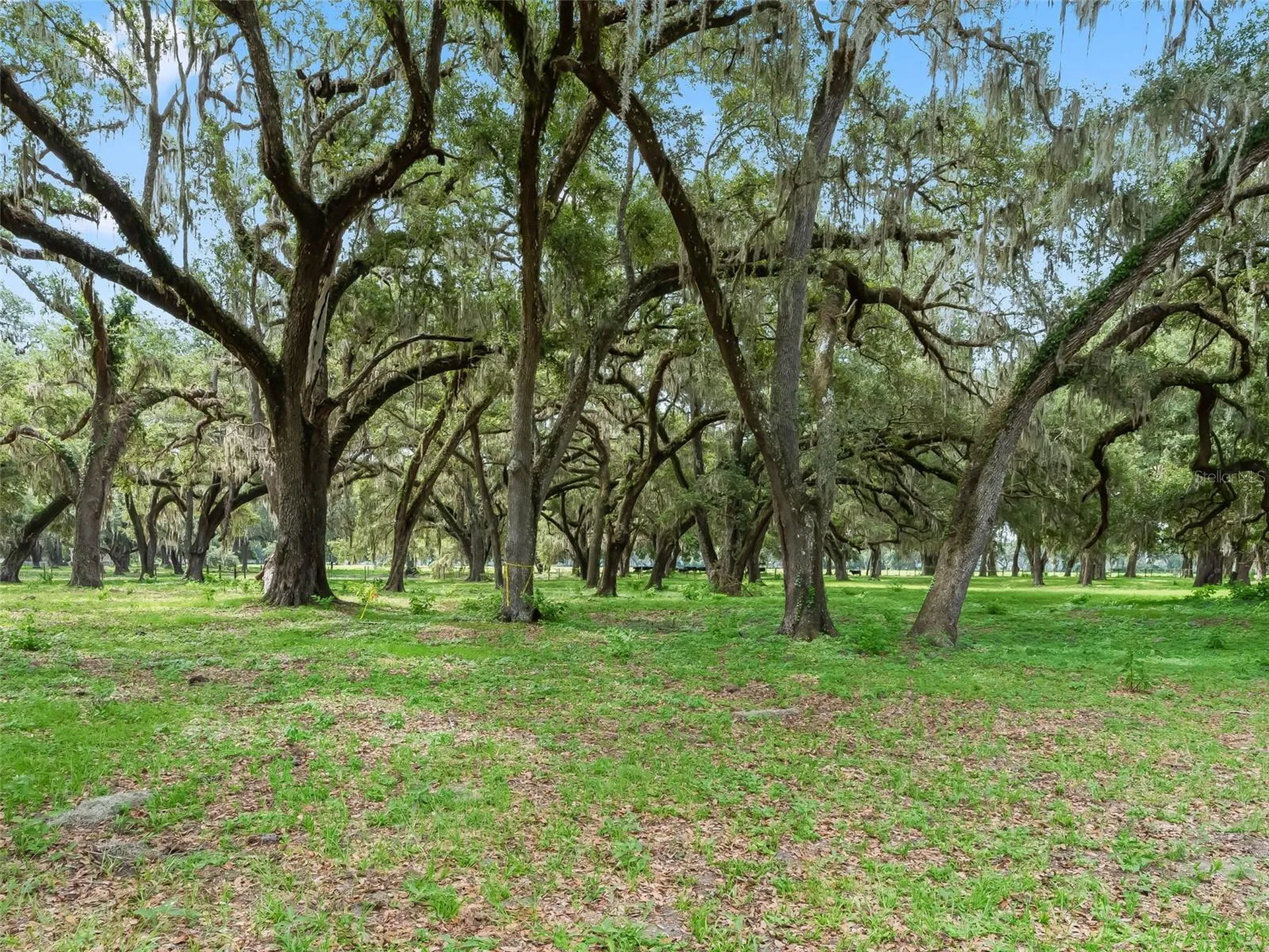 Lot 12 Cr 543 Bushnell FL 33513