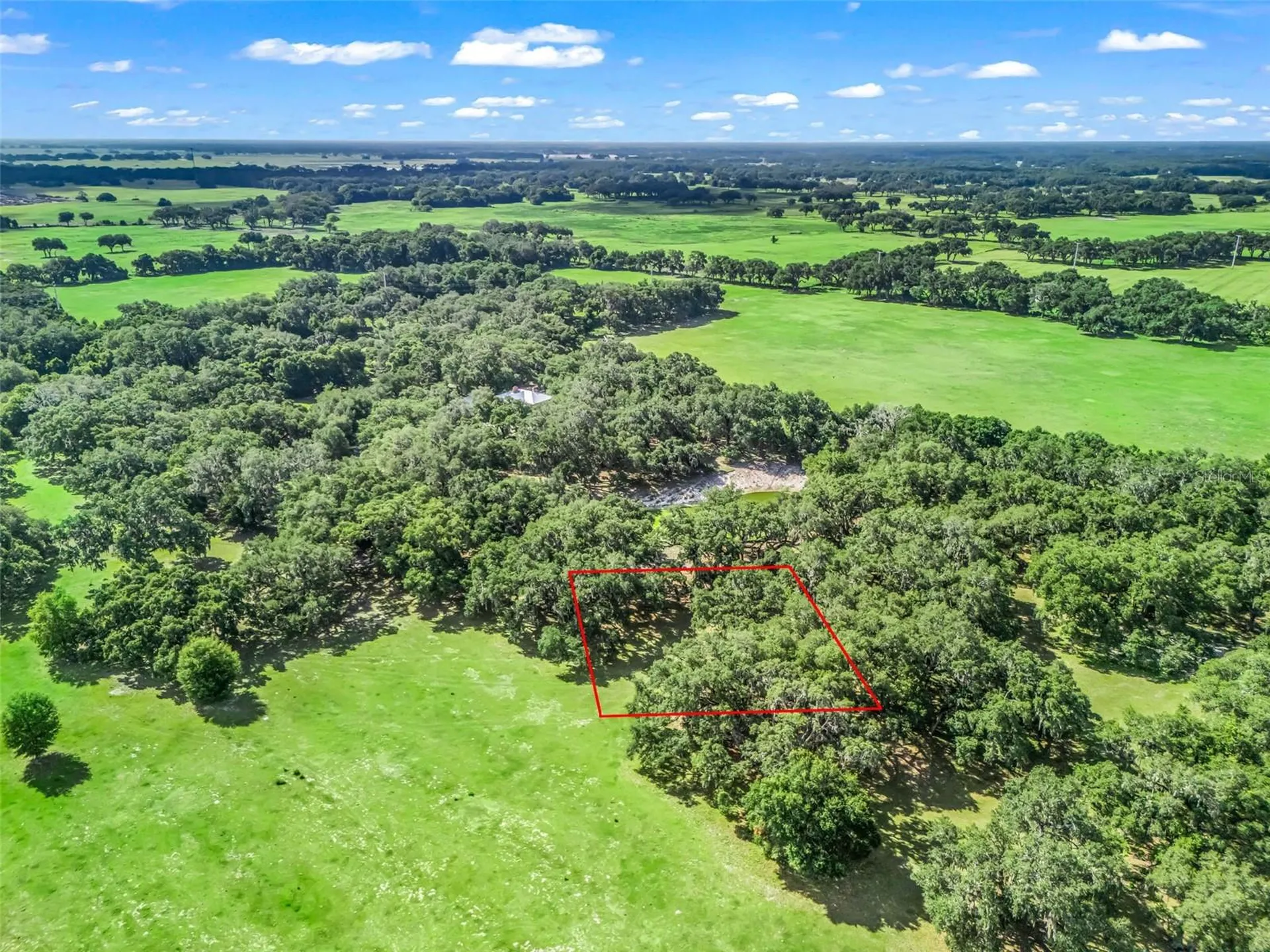 Lot 12 Cr 543 Bushnell FL 33513