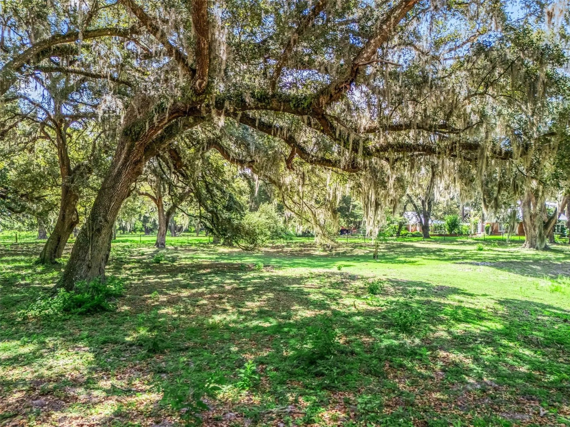 Lot 12 Cr 543 Bushnell FL 33513