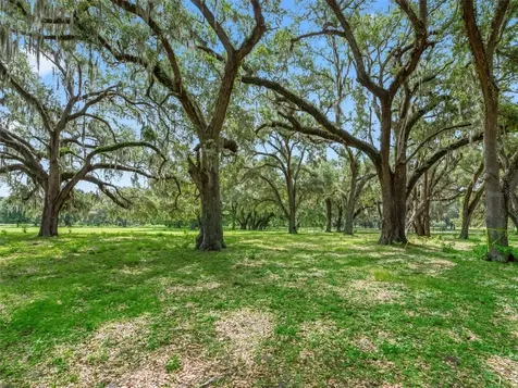 Lot 12 Cr 543 Bushnell FL 33513