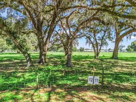 Lot 12 Cr 543 Bushnell FL 33513