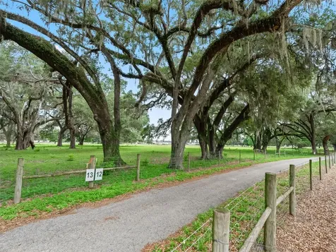 Lot 12 Cr 543 Bushnell FL 33513