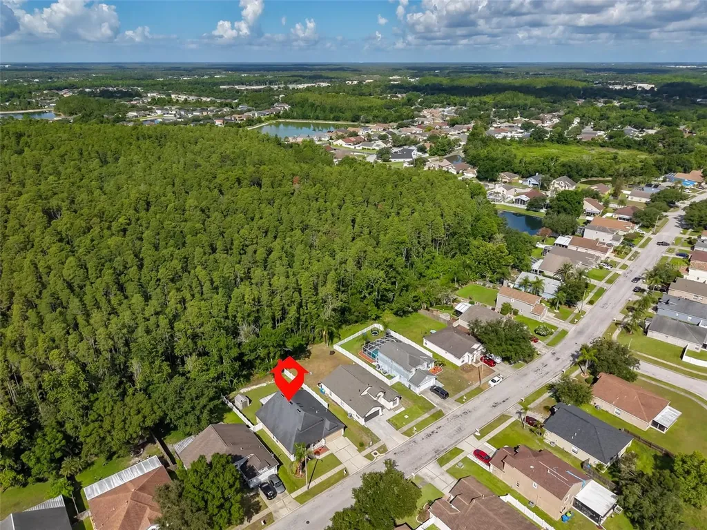 1147 Timber Trace Drive Wesley Chapel FL 33543