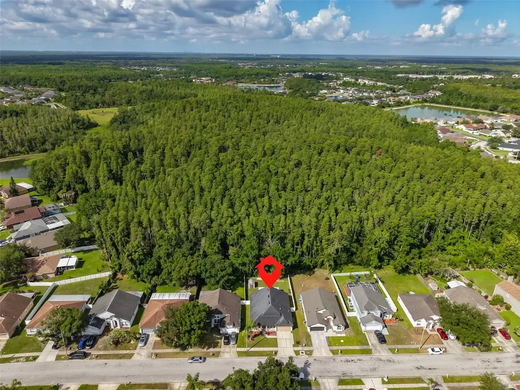 1147 Timber Trace Drive Wesley Chapel FL 33543