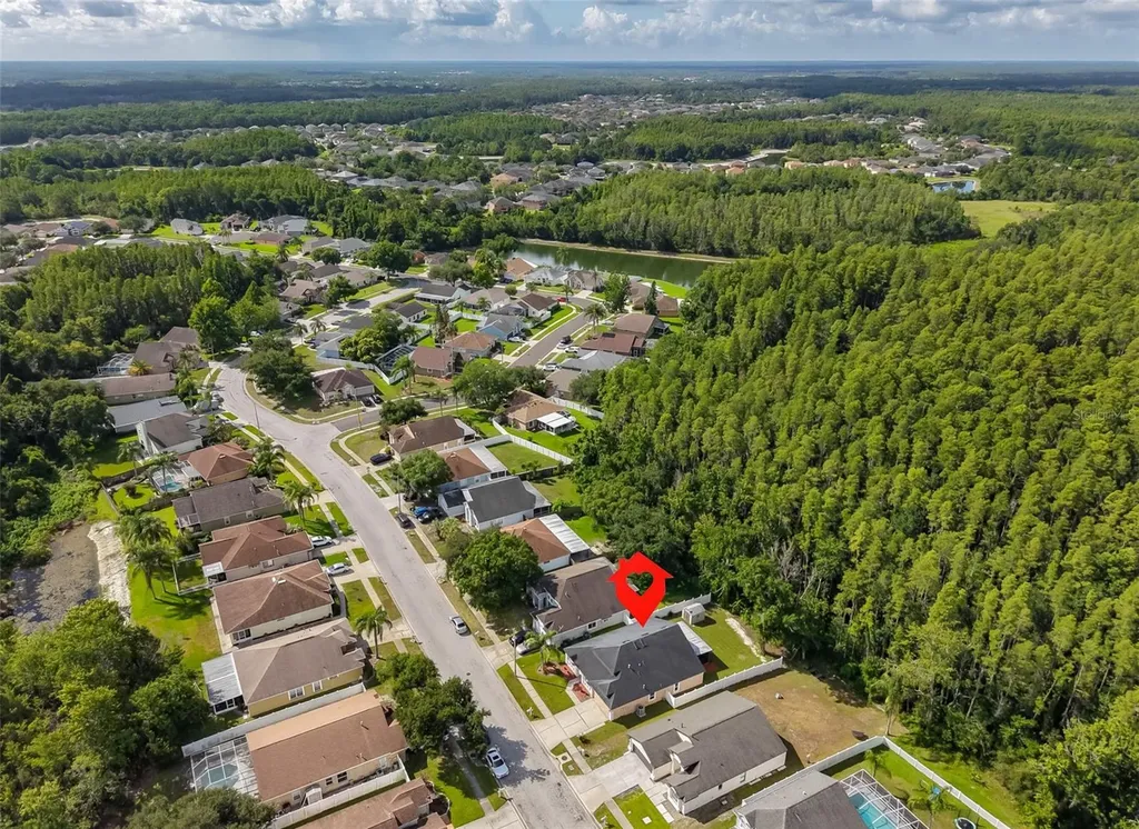 1147 Timber Trace Drive Wesley Chapel FL 33543