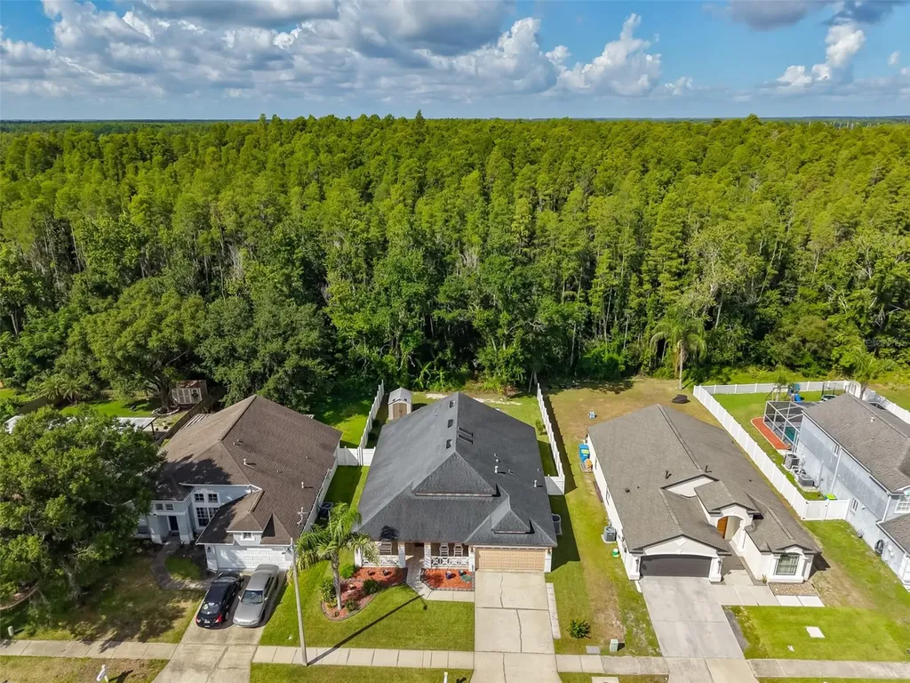 1147 Timber Trace Drive Wesley Chapel FL 33543