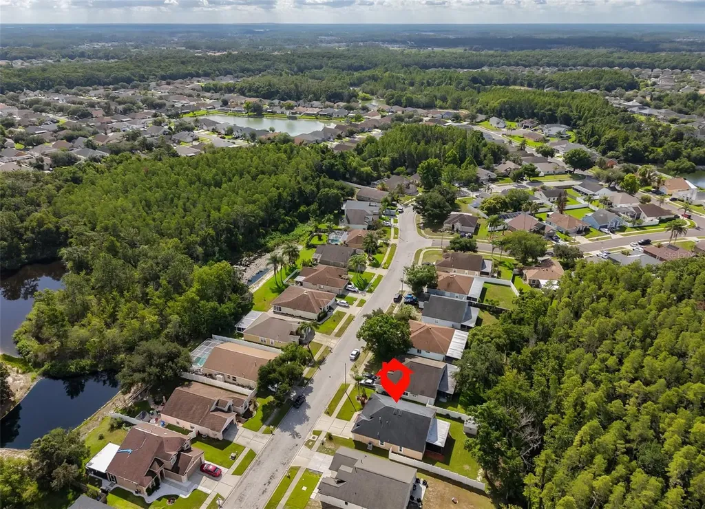 1147 Timber Trace Drive Wesley Chapel FL 33543