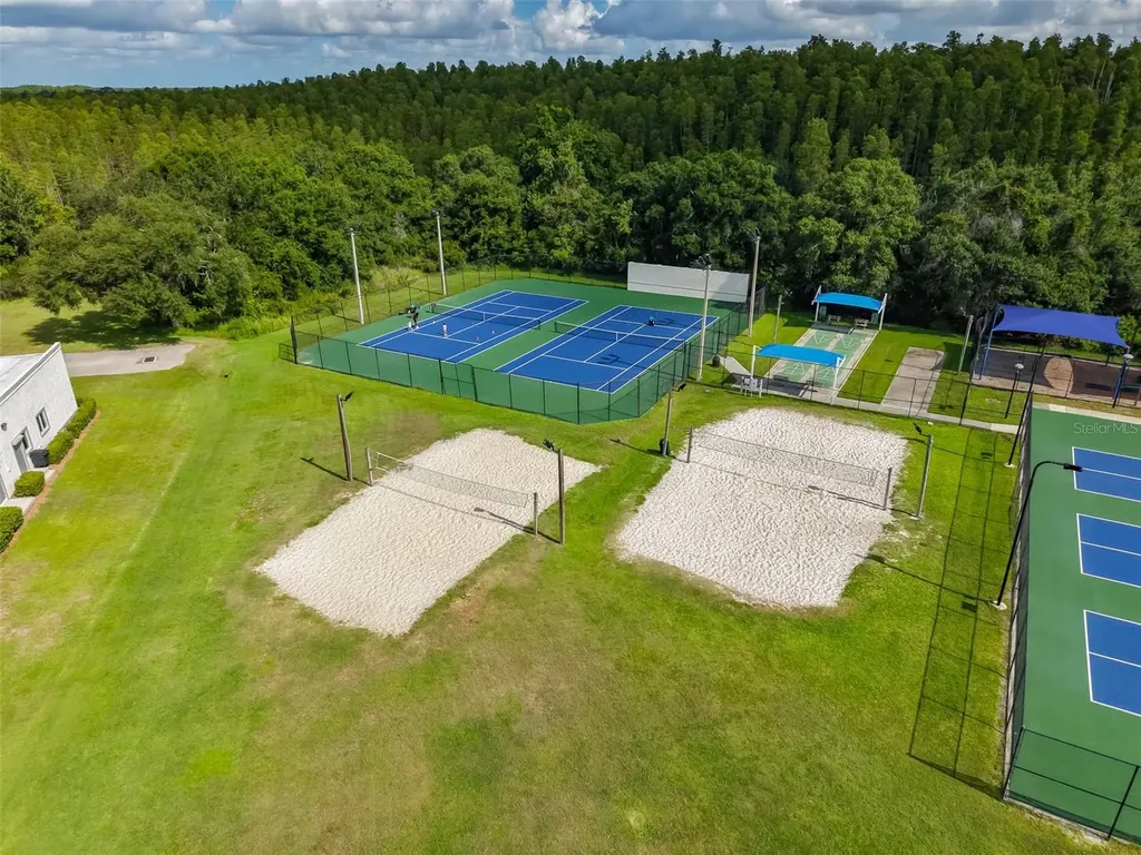 1147 Timber Trace Drive Wesley Chapel FL 33543