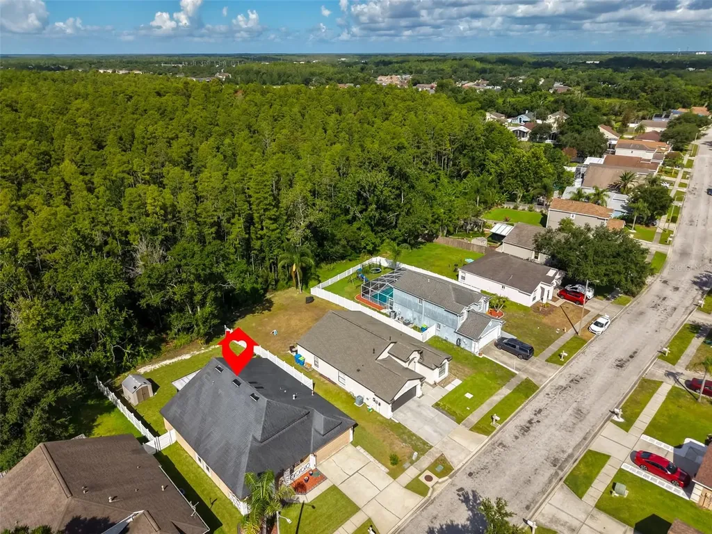 1147 Timber Trace Drive Wesley Chapel FL 33543