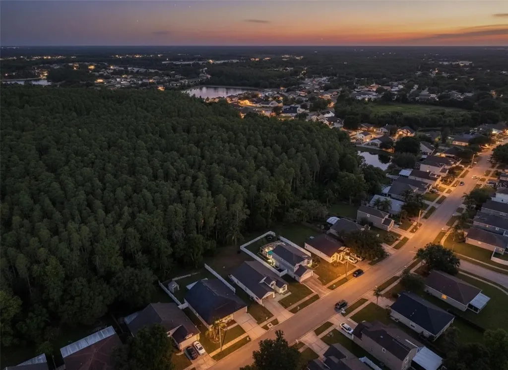 1147 Timber Trace Drive Wesley Chapel FL 33543