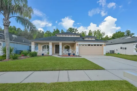 1147 Timber Trace Drive Wesley Chapel FL 33543