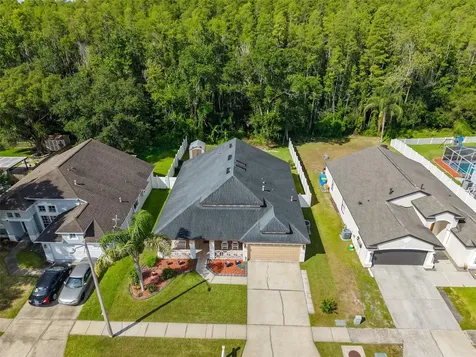 1147 Timber Trace Drive Wesley Chapel FL 33543