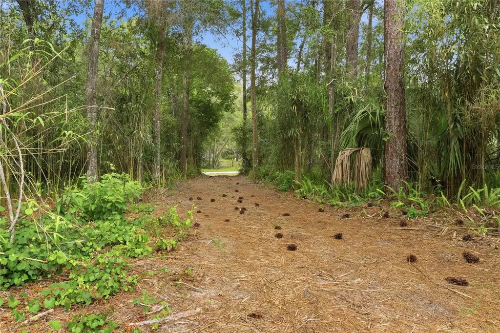 3800 Willow Avenue Deland FL 32720