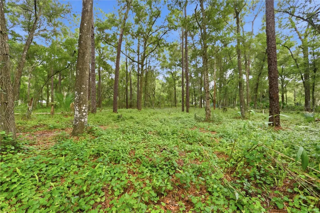 3800 Willow Avenue Deland FL 32720