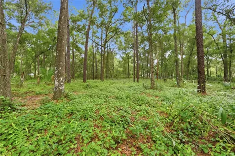 3800 Willow Avenue Deland FL 32720