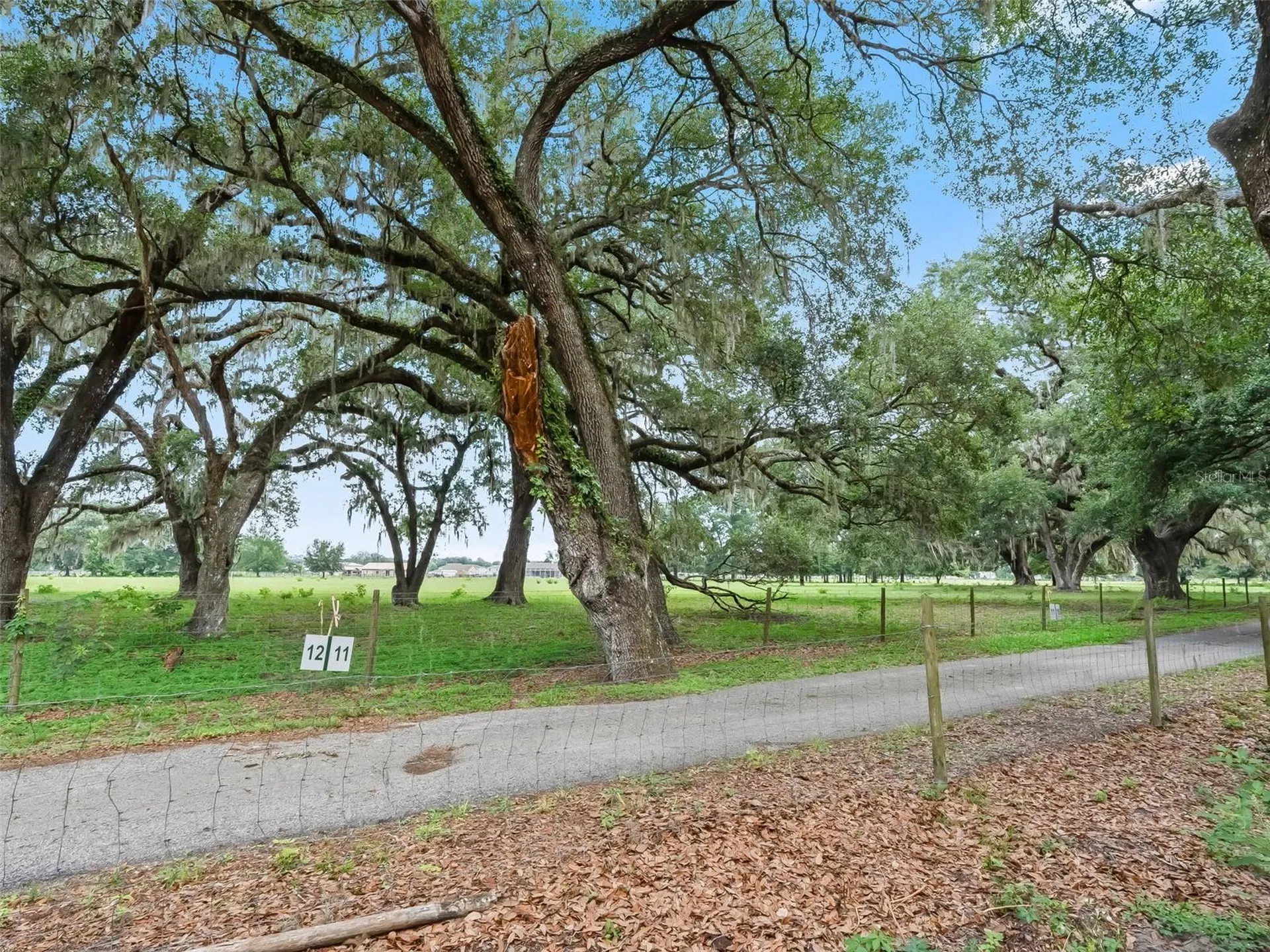 Lot 11 Cr 543 Bushnell FL 33513