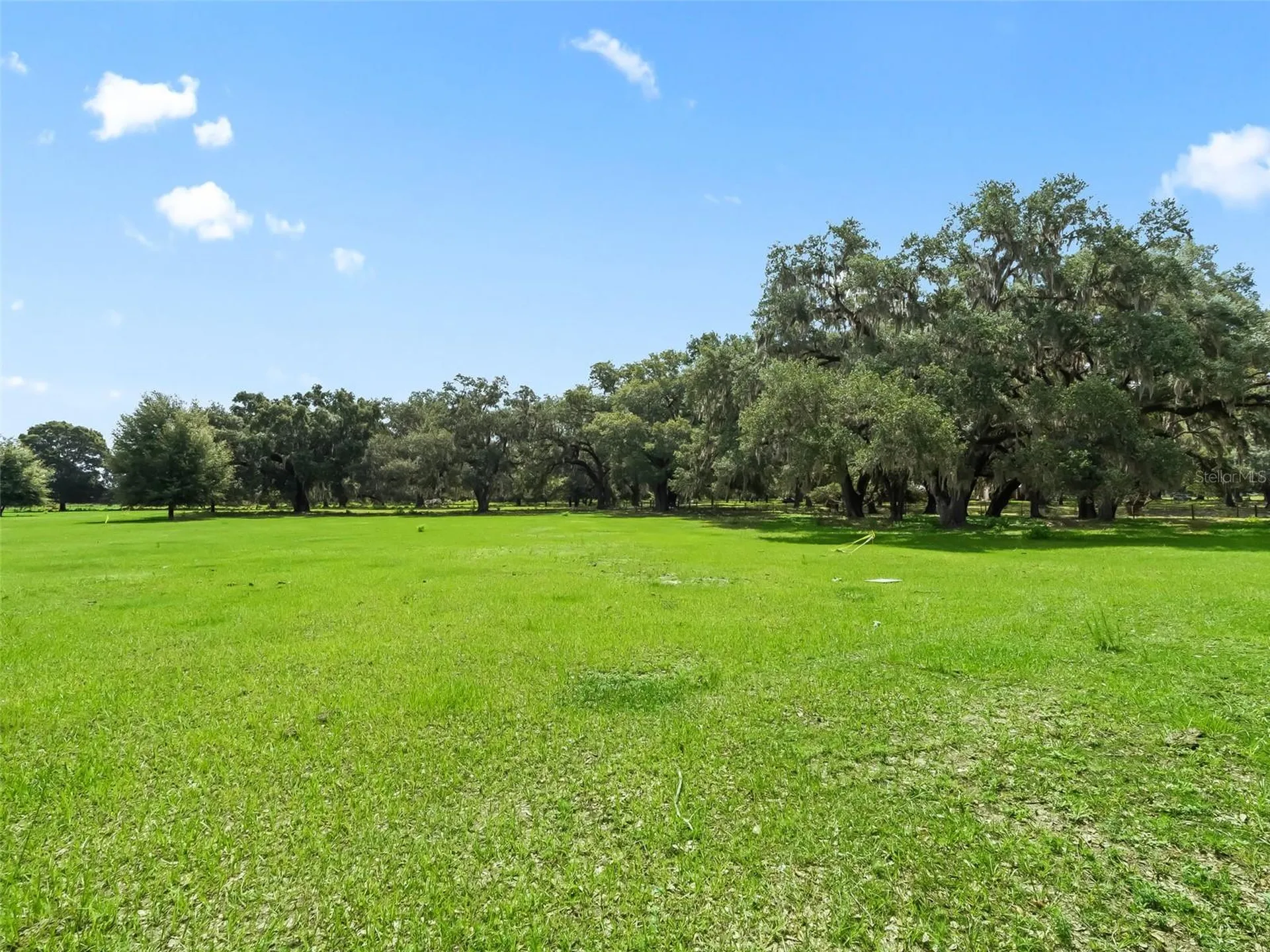 Lot 11 Cr 543 Bushnell FL 33513