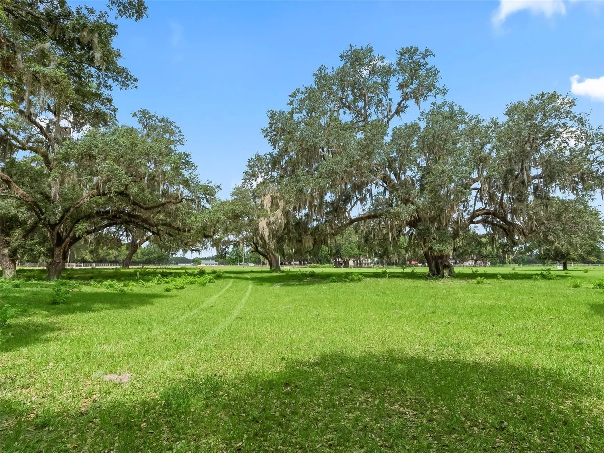 Lot 11 Cr 543 Bushnell FL 33513