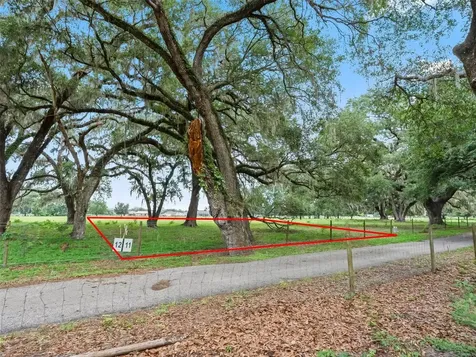 Lot 11 Cr 543 Bushnell FL 33513