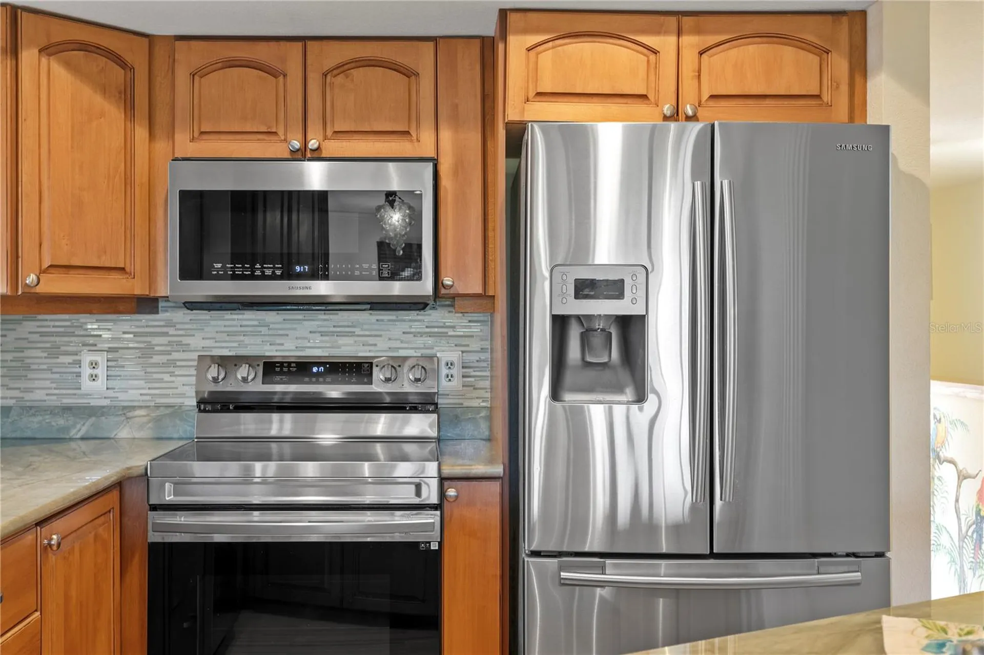9564 Tara Cay Court Seminole FL 33776