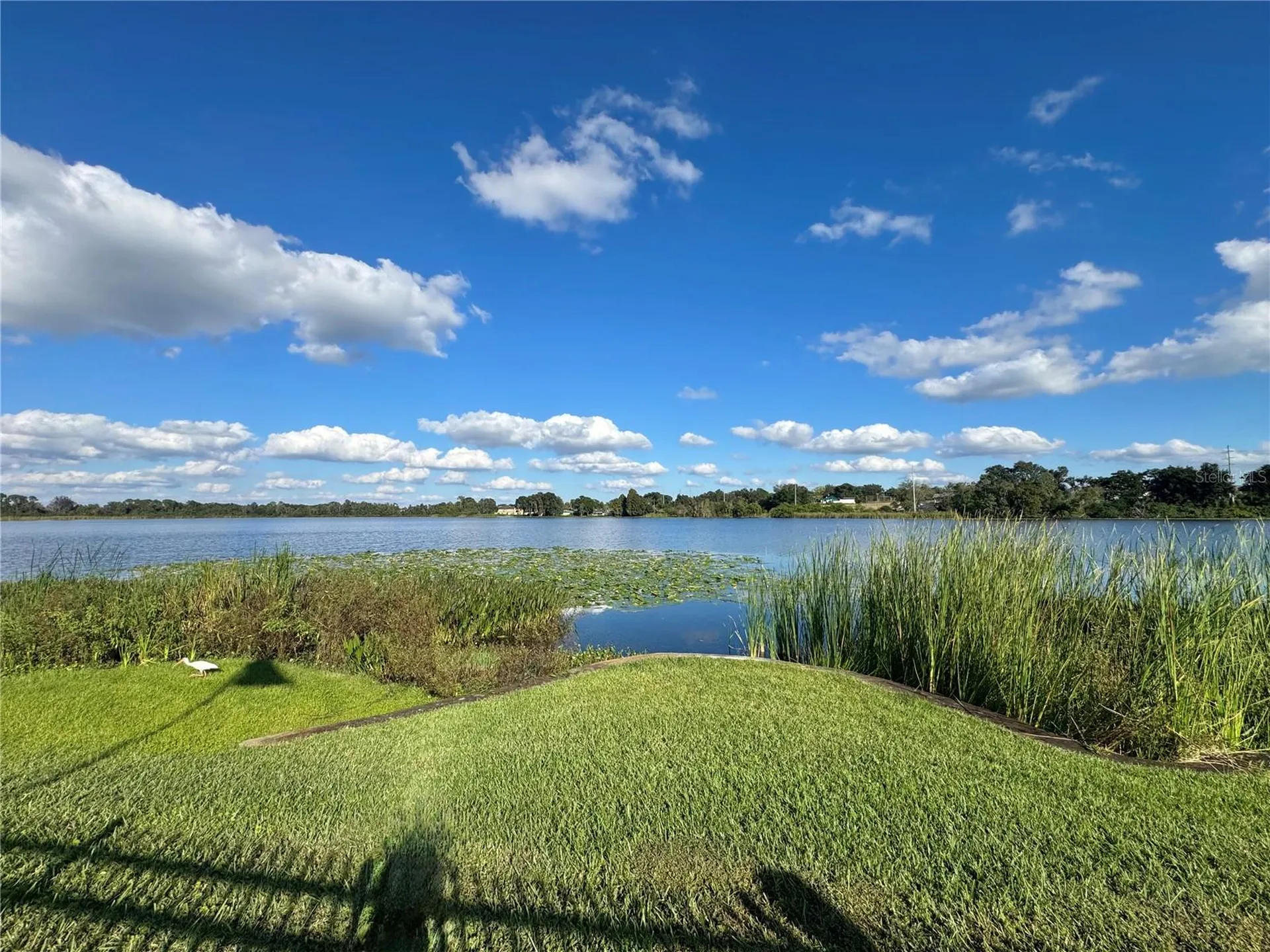 1550 11th Street NE Winter Haven FL 33881