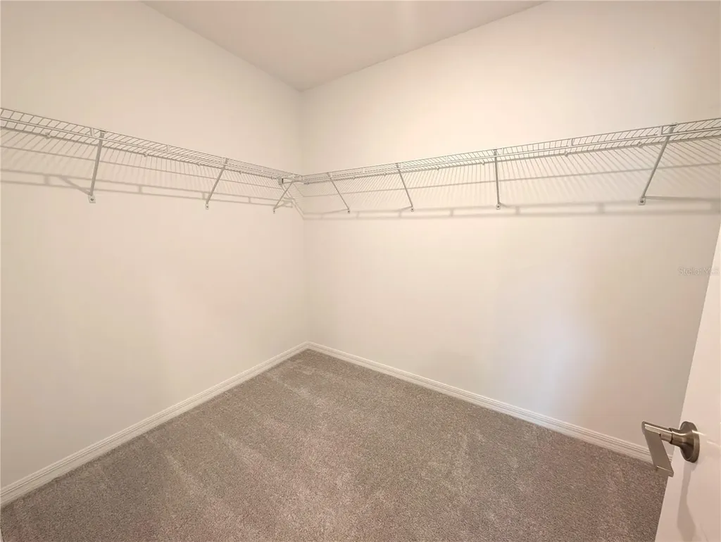 10171 Boger Ranch Court Wesley Chapel FL 33545