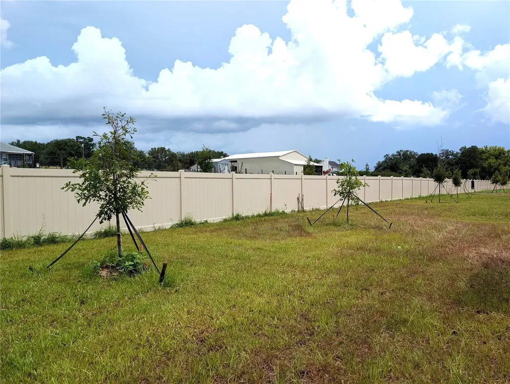 10171 Boger Ranch Court Wesley Chapel FL 33545