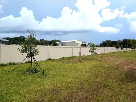 10171 Boger Ranch Court Wesley Chapel FL 33545