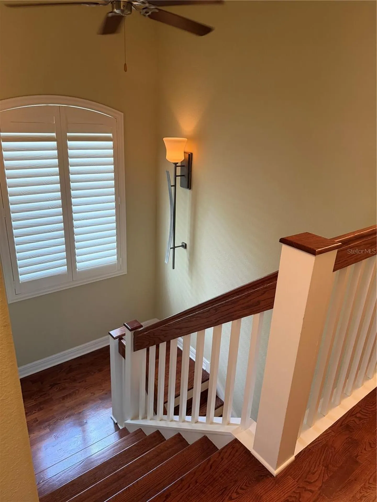 1009 Elmwood Street Orlando FL 32801