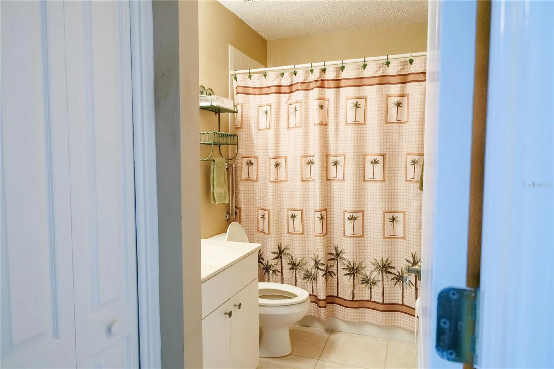 1124 Corinth Greens Drive Sun City Center FL 33573