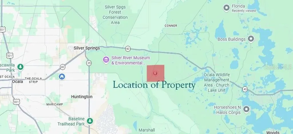 NE Hwy 314 Highway NE Silver Springs FL 34488