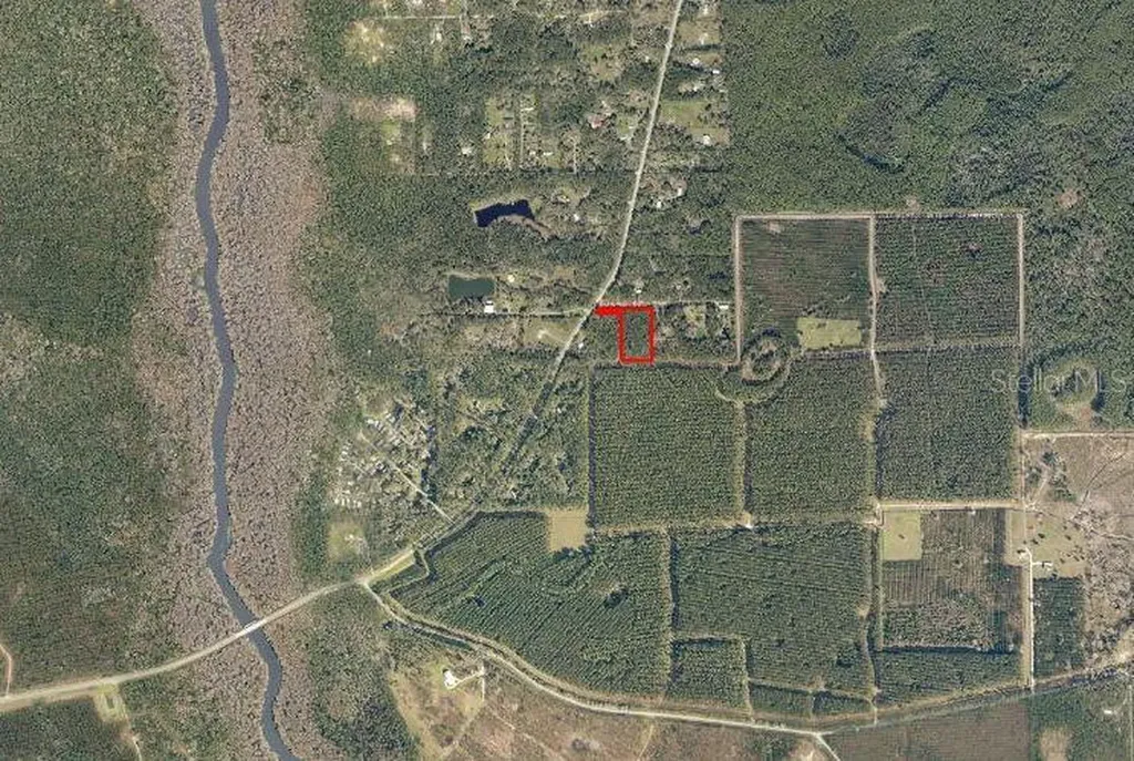 NE Hwy 314 Highway NE Silver Springs FL 34488