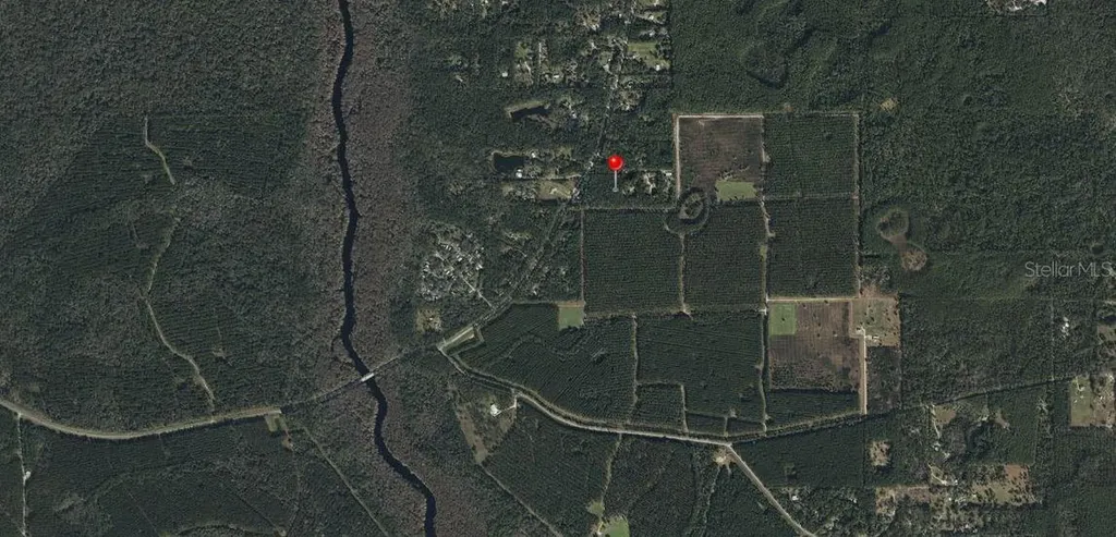 NE Hwy 314 Highway NE Silver Springs FL 34488