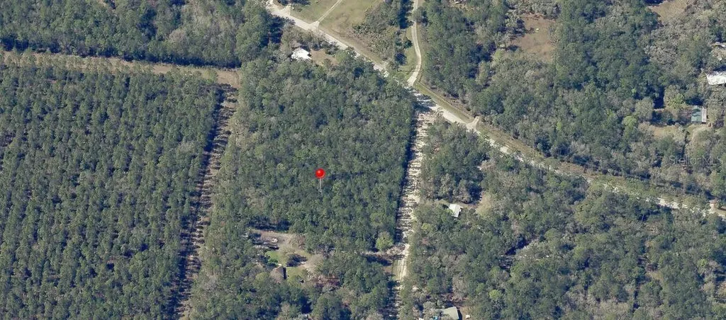 NE Hwy 314 Highway NE Silver Springs FL 34488