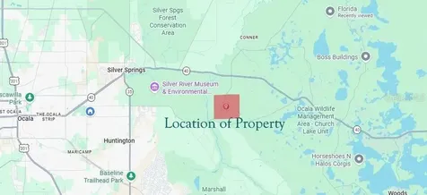 NE Hwy 314 Highway NE Silver Springs FL 34488