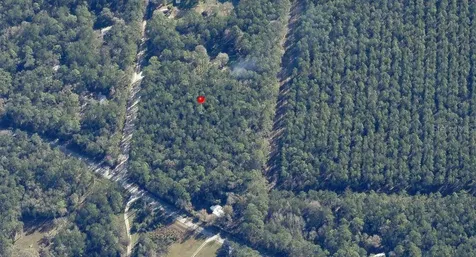 NE Hwy 314 Highway NE Silver Springs FL 34488