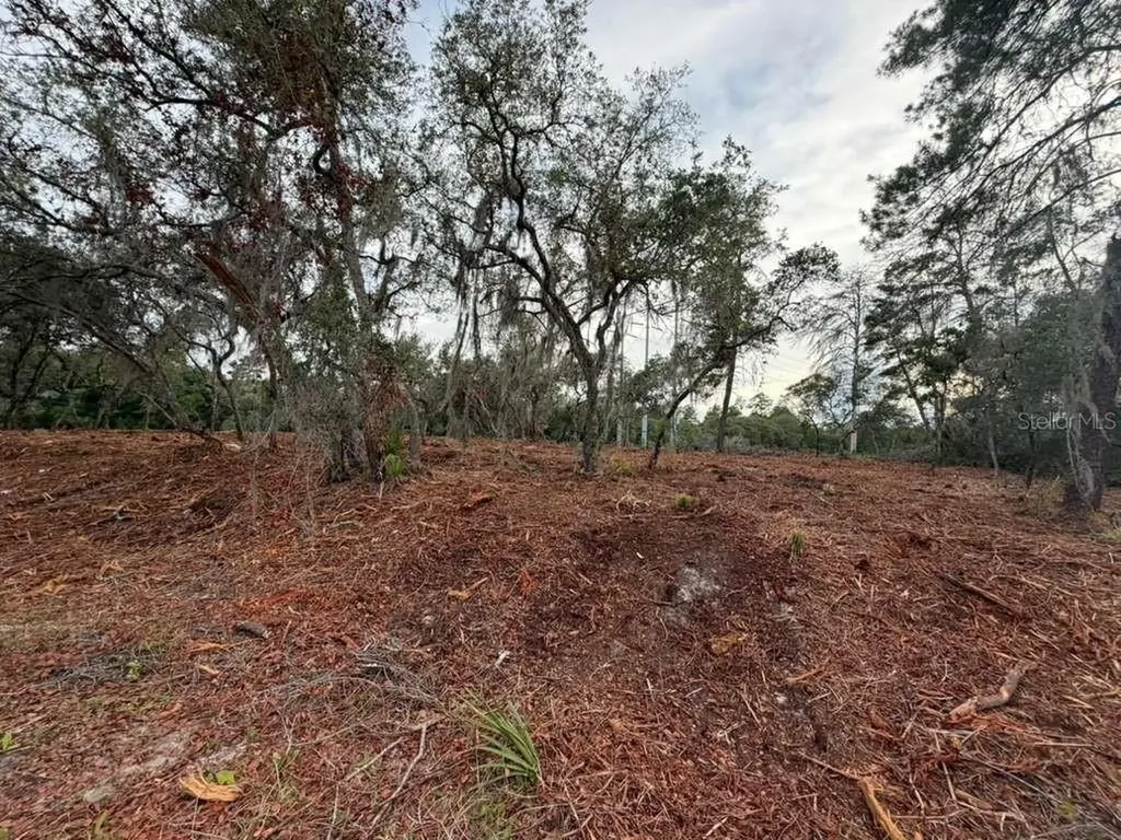 Sequoia Trail Ocklawaha FL 32179